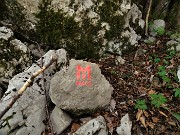 51 Salendo per sentiero poco conosciuto (oltre al bollo rosso su albero presente anche questo segnale)  in Canto Alto